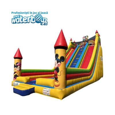 Mickey & Minnie Inflatable Slide