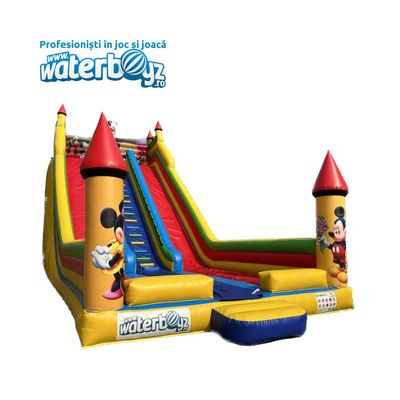 Mickey & Minnie Inflatable Slide