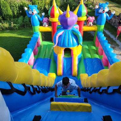 Tobogan gonflabil profesional cu orasel Disney cu garantie 12 luni