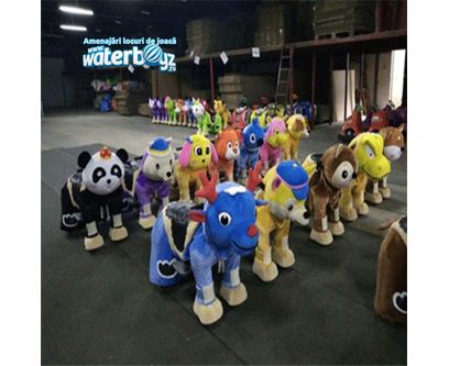 Animal Rides