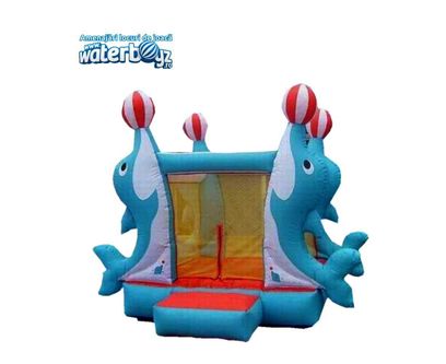 Dolphin Inflatable  Castle