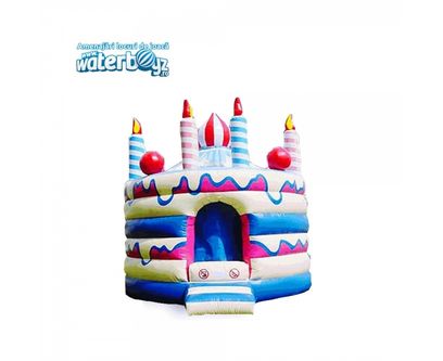Castel gonflabil profesional Tortulet, +3 ani, 500x500x500 cm