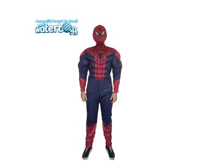 Spider-Man Animation Costume