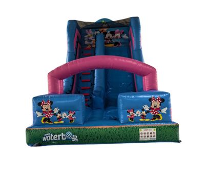 Cartoon Party inflatable slide, +3 yrs, 700x400x600 cm