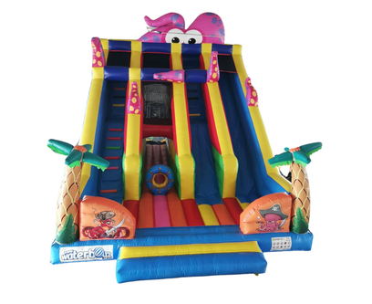Octopus Inflatable Double Slide