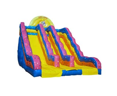 Tom and Jerry Double Inflatable Slide