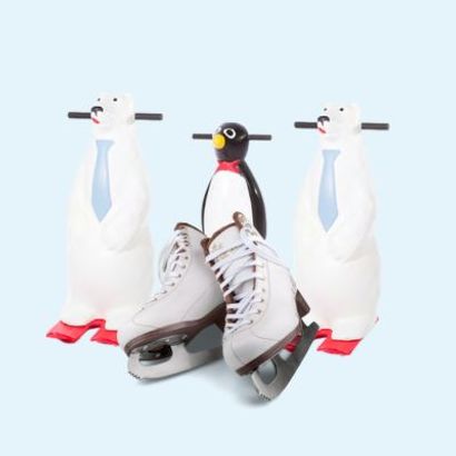 Patinoare ecologice
