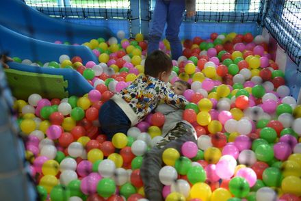  Importanta miscarii indiferent de anotimp