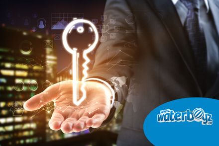 Afaceri la cheie profitabile prin intermediul Waterboyz Afaceri la cheie profitabile prin intermediul Waterboyz