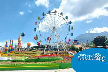 Staying Safe at Amusement Parks: What Every Visitor Needs to Know