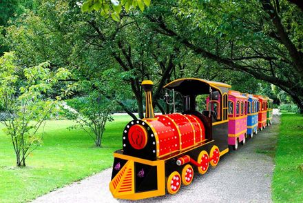 Trenulețele Waterboyz - Răsfăț pentru cei mari și distracție pentru cei mici! Trenulețele Waterboyz - Răsfăț pentru cei mari și distracție pentru cei mici!