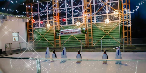 Patinoarului ecologic ales de primăria Titu Patinoarului ecologic ales de primăria Titu