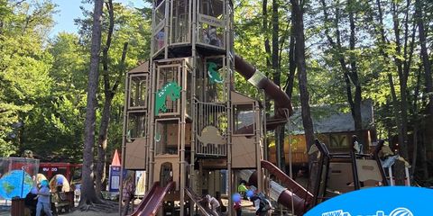 blog dino parc rasnov 1 wtb