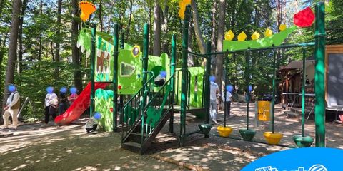 blog dino parc rasnov 2 wtb