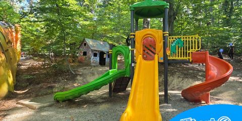 blog dino parc rasnov 4 wtb