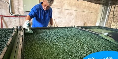 Procesul de fabricație a dalelor de cauciuc în unitatea de producție Waterboyz Procesul de fabricație a dalelor de cauciuc în unitatea de producție Waterboyz