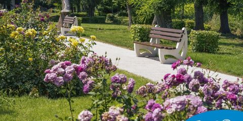 Proiectarea zonelor de relaxare in parcuri publice Proiectarea zonelor de relaxare in parcuri publice