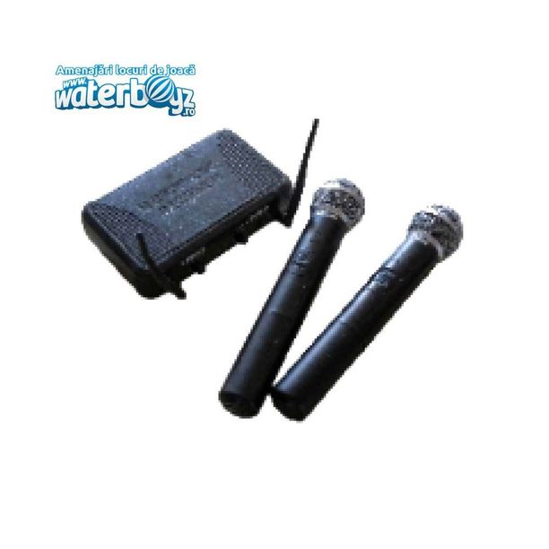 2 Microphones for Karaoke