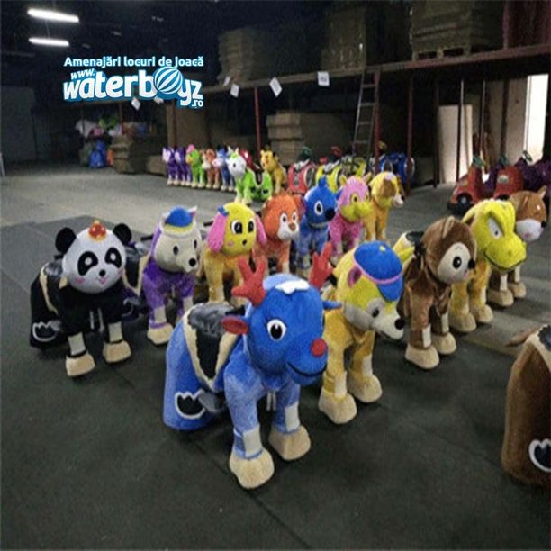 Animal rides