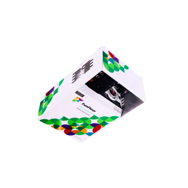 Sistem de podea interactiva pentru copii Fun Floor EDU, 3+ ani