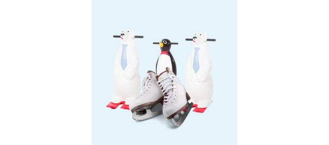 Patinoare ecologice