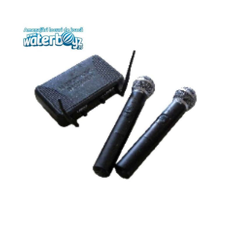 2 Microphones for Karaoke
