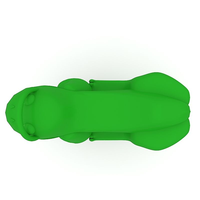 Spring Rider Funny Frog 2
