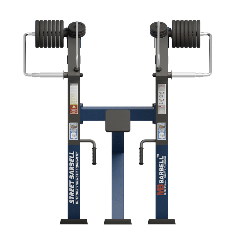 Aparat de fitness pentru spate Standard pentru exterior, 136x188x201 cm, otel inoxidabil