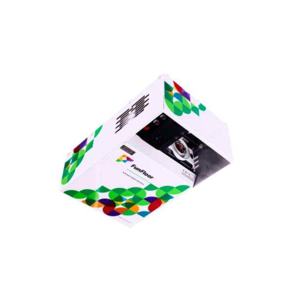 Podea Interactiva - Fun Floor EDU