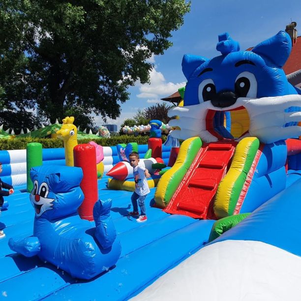 Loc de joaca gonflabil profesional Summer