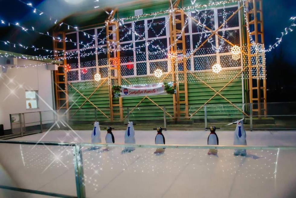 Patinoarului ecologic ales de primăria Titu 